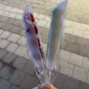 주간일기::12월 시작! 제철 맞은 대방어회 김생체 테니스강습 시작