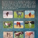 의귀리체험휴양마을 이미지