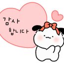 운정한빛동물병원 이미지