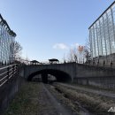 신대생태회랑2 이미지