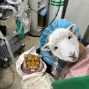 엠제이산부인과의원 이미지