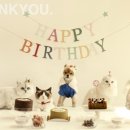 멍멍키친 이미지