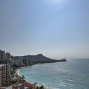 시진농장 | 하와이 5일차 - Happy honeymoon