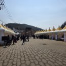 스트로마톨라이트 | [웰니스 여행] 의성 산수유마을 꽃맞이 행사 후기와 가볼만한곳 ( 프로그램 일정표, 시외버스 셔틀버스...