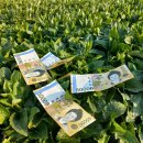 본가대박집 | 3말 ~ 4초