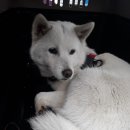 구성초교 이미지