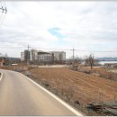 장흥2리 마을회관 앞 이미지