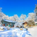 해양치유시티투어 이미지