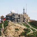 산동 Daum카페