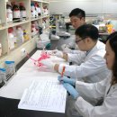 바이오알파서울 이미지