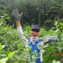 정대농장 이미지