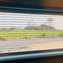 한동스테이 이미지