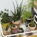 타로상담 | 김해 신년운세 레질리먼스 타로 심리상담 후기