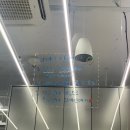 포케올데이대전