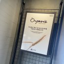 카페마인 | 화성 송산 카페 : 디마인 카페 솔직 후기 D.mine CAFE