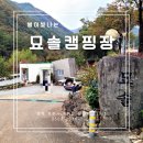 묘솔캠핑장 | [231013] 영주 여행 숙소 추천 묘솔캠핑장 펜션, 풍기인삼축제 희방폭포