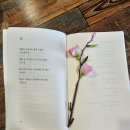 토브하리카페 이미지