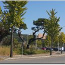 보문호반길 이미지