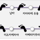 다종오락실 이미지