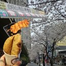 벚꽃분식 | 부산 서면 벚꽃포차거리 실패 l 솔루스타올 l DK분식 성공 후기