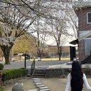 초호쉼터 | 파주 초리골164 아기랑 가기좋은 야외 동물체험 카페