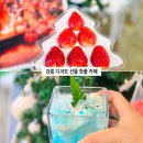 연곡농장 | 강릉 디저트 선물 핫플 카페 두티 강릉 빵집 추천