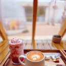 거북이 | 함덕카페맛집 디저트가 맛있는 조천카페 '집나간거북이' 후기함덕분위기 좋은 카페