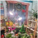 꼬마화가미술학원 이미지