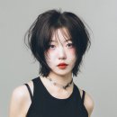 살롱더라이징