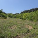 미현리농장 이미지