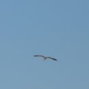 해변의 바람 이미지