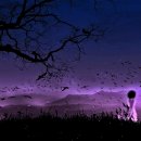 희망을 향하여 이미지