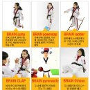 브레인태권도 이미지