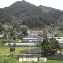 솔다박마을 이미지