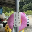 원주 신림에 위치 한 한울오토캠핑장에서 남매들과 함께 즐기는 미즈캠 ! 더운 여름캠핑도 김엄마는...