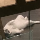 신흥교회앞 이미지