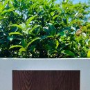 서유의섬 이미지