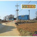 금당엄나무마을 이미지