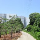 평택-평택-6 이미지