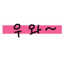 이현경애견미용학원 이미지