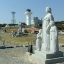 간절곶사슴농장 이미지