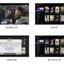 HCN금호방송