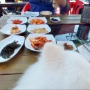 동막식당 이미지