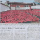 한겨레/ 주택공급 확대 방안, 정부·서울시 ‘마찰음’/ 오늘 입추 맞아? 철없는 폭염/ 김정관 산업 “메가특구법, 주52시간 특례 필요 이미지