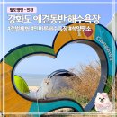 CU 강화동막해수욕 | 인천 강화도 애견동반 가볼만한곳 민머루해수욕장 | 갯벌체험 바다 산책코스