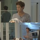 와일드스튜디오 이미지