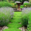 향기로부동산중개 이미지