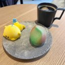 소신 | 대전 파티세리 케이크 맛집 후기 | 파티세리 소신 대흥점, 앤크, 파티세리 러츠, 몽심 한남대점