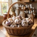 산지유통마늘농가 | 에어컨 바람에 여름 감기 골골대던 제가 매일 밤 '이것' 구워 먹고 만성 피로 탈출한 후기