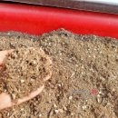 텃밭 흙 : 모래 40%, 실트(silt, 微沙) 40%, 점토(粘土, Clay) 15%, 유기물 5% 이미지